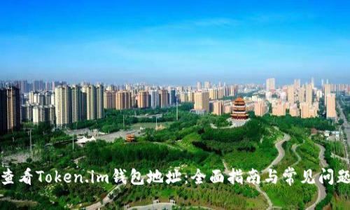如何查看Token.im钱包地址：全面指南与常见问题解答
