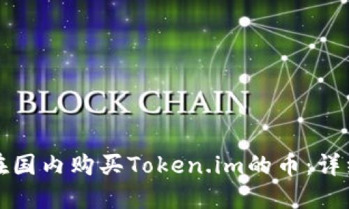 如何在国内购买Token.im的币:详细指南