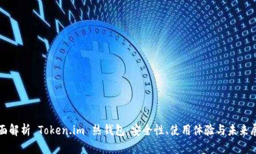 全面解析 Token.im 热钱包:安全性、使用体验与未来展望