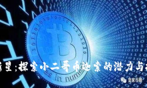 区块链新星:探索小二哥币迦索的潜力与投资机会