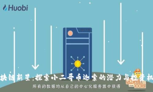 区块链新星:探索小二哥币迦索的潜力与投资机会