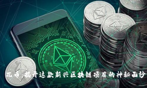 兀币:揭开这款新兴区块链项目的神秘面纱