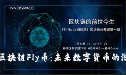 全面解析区块链Fly币:未来数字货币的潜力与挑战