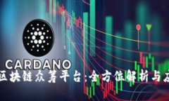 维卡币区块链众筹平台：全方位解析与应用前景